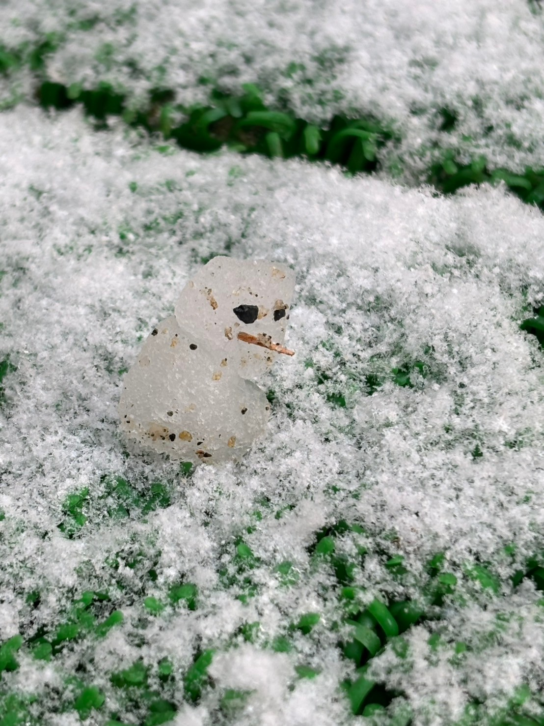 雪が降りました